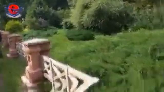 Шамордино смотреть онлайн