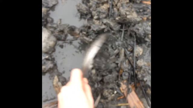 Как за 5 минут намыть килограмм мотыля смотреть онлайн