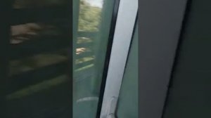 Отель Эко Папа в Абхазии.