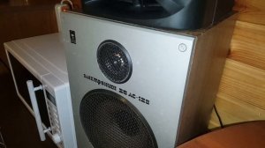 Сравниваем колонки Электроника 25АС—128 и Aiwa V70.№294