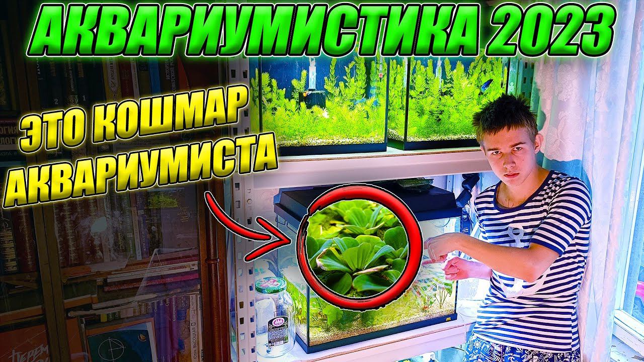 Аквариумистика 2023 От ЭТОГО нужно ИЗБАВЛЯТЬСЯ! ГЛАВА 1 смотреть онлайн