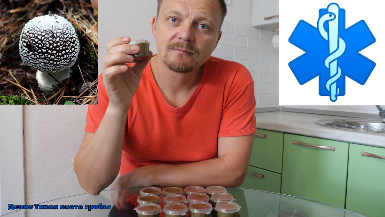 Мазь из пантерного мухомора смотреть онлайн