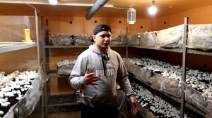 Бизнес Дома. Выращивание Шампиньонов