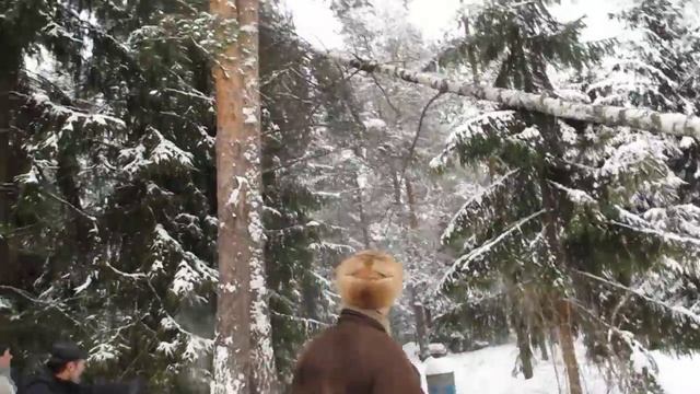 Валка дерева MVI_5532 У Марины. Рождество 2013.MOV смотреть онлайн