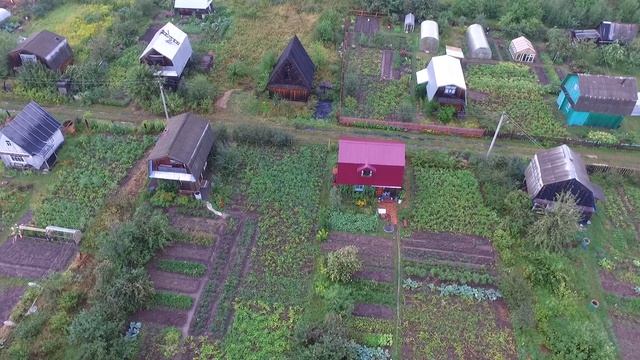 DJI Phantom 3 standart. Первый полёт на даче. 12.08.2016г. смотреть онлайн