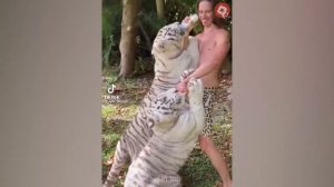 Animals Transformation _ I'm a Big Kid Now - Dog Grow Up TikTok.Animals .Tik Tok On Top.