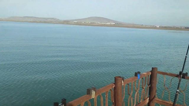 Рыбалка.Каспийское море.Кутум #рыбалка #каспийскоеморе смотреть онлайн