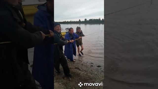 РЫБАЛКА НА НЕВОД 2021 СИБИРЬ ТОМСКАЯ ОБЛАСТЬ смотреть онлайн