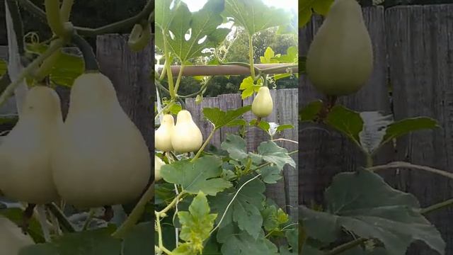 Стройка Плюс