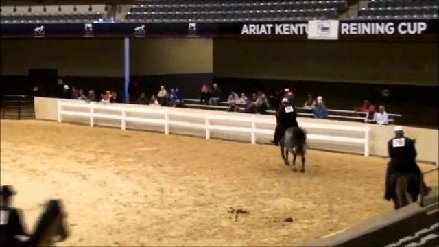 Sonny Bono KMSHA/RMHA Chocolate Roan Stallion смотреть онлайн