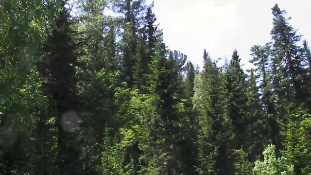 Теба Томь Тот берег Михайловского плёса 12 06 19 смотреть онлайн