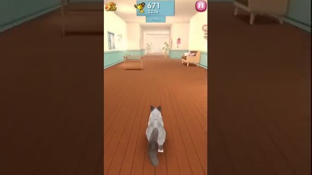 Играем в catran смотреть онлайн