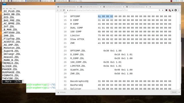 Zoom B1ON/G1ON/MS CDR70 ... Extract FXID GID from firmware смотреть онлайн