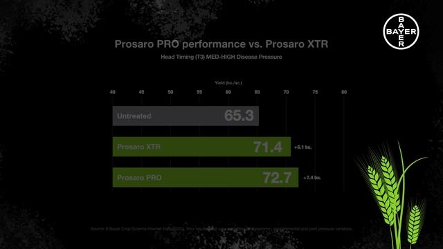 Cereal Fungicides: Prosaro® PRO – The Next Evolution смотреть онлайн