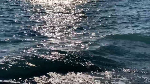 10.11.2022. Погода в Сочи в ноябре. Смотри на Чёрное море каждый день. смотреть онлайн