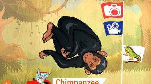 Forest Animals Puzzles for kids Pre Learning Game