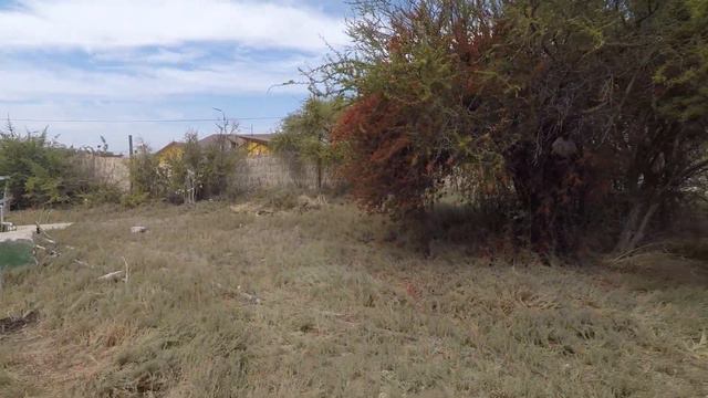 Продолжаю исследовать что растёт на участке 🌱🍀🌴🌳🌿🌱🍃 смотреть онлайн