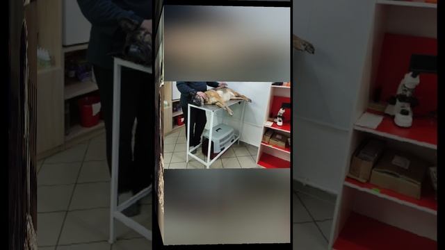 А ВОТ И Я! Меня зовут Кира!!!!!!