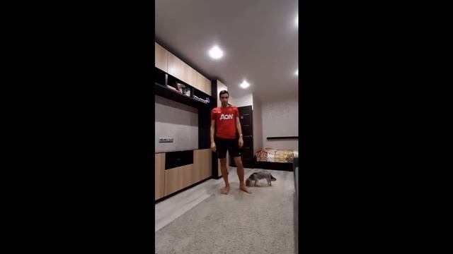 Короткие тренировки: Круговая тренировка смотреть онлайн