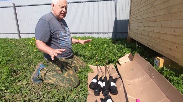 Распаковка саженцев от компании Agro Market24 смотреть онлайн