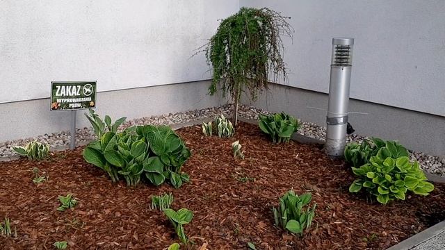 Польша. Всего лишь придомовые территории в обычном ЖК. смотреть онлайн