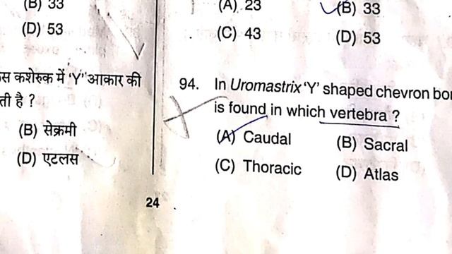 TGT BIOLOGY 2021 (August,7): Solved Paper (Ans As Per Commission Ans.Key)