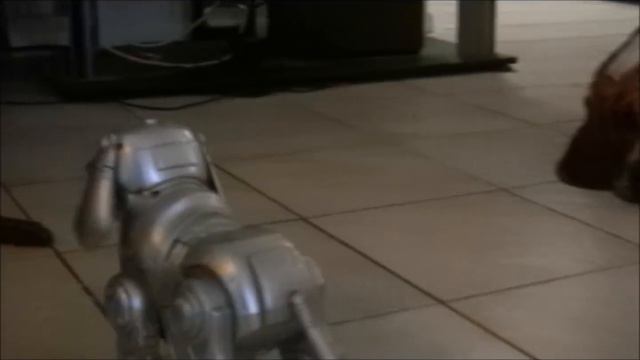 Basset Hound Security Dogs! Very Cute! смотреть онлайн