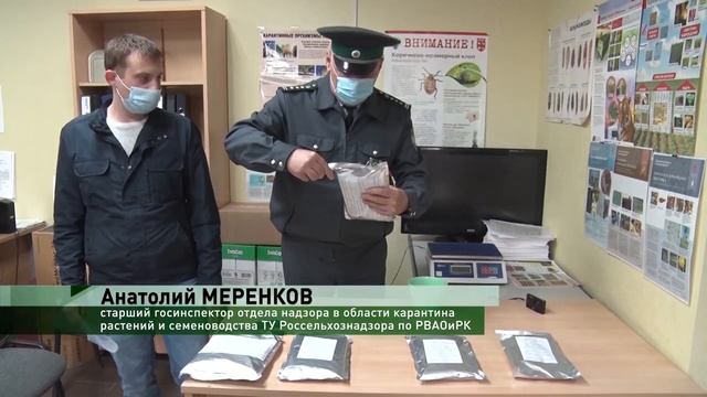 Проверка импортных семян, поступивших на территорию Российской федерации.mp4 смотреть онлайн