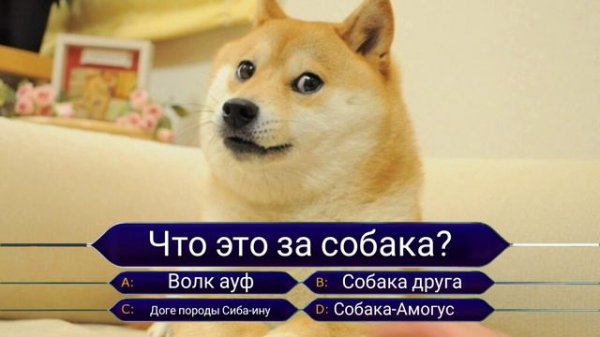 Тест по мемам – МЕМОЛОГИЯ