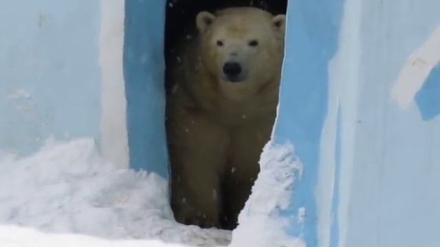 Гердочка, покажи малыша! 20.02.16 смотреть онлайн