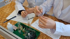 Урок практикум: Факторы, влияющие на скорость химической реакции