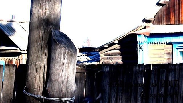 Дятел на столбе в городе Шимановск. ноябрь 2017 смотреть онлайн