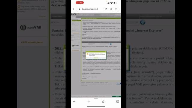 Регистрация на сайте налоговой Литвы VMI /часть 2 . Заполняем декларацию #путьмигрантки #декларация смотреть онлайн