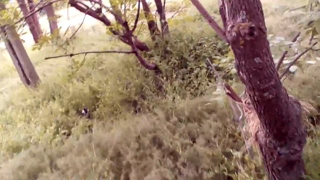 Вороненок, которого не нужно спасать смотреть онлайн