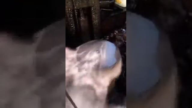 Молот для забивки свай - перегрев смотреть онлайн