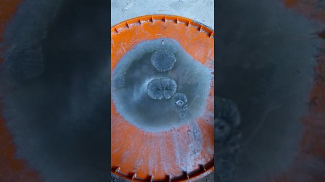 Реакция лака на воздух