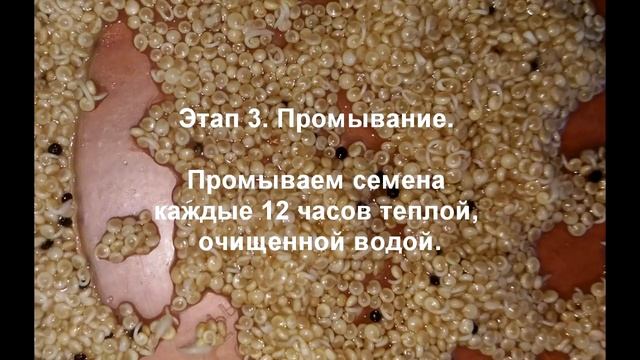 Строительные Приоритеты