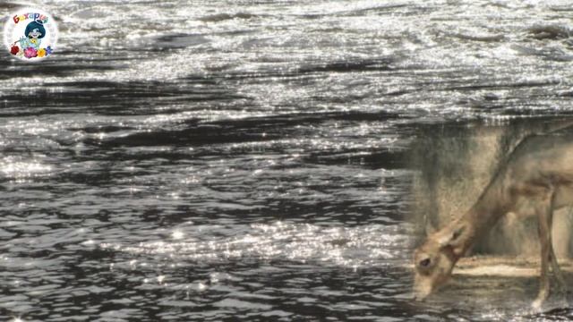 Стихотворение Святая Ганга смотреть онлайн