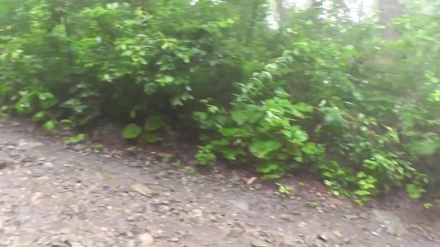 Адлер 2022. Красная поляна. Водопад Поликаря. смотреть онлайн