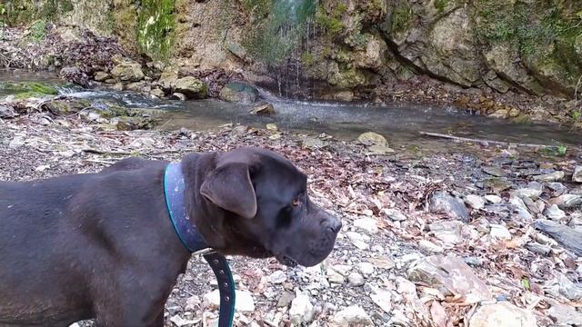 Агой за 1 день. Узнай, что можно посмотреть в Агое