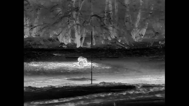 Охота с вышки на кабана с прицелом Rika NV HRS LRF с карабином калибра 366ТКМ смотреть онлайн