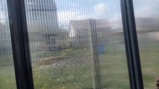 Коллекция кактусов.Ребуция цветет,маммилярии,телокактусы.Cacteen смотреть онлайн