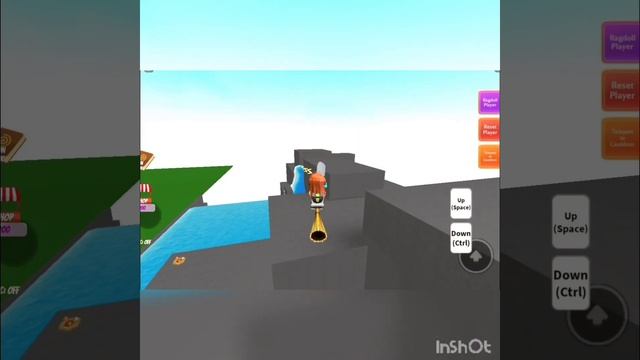 How to Unlock Pirate Hat Ingredient - Wacky Wizards - Roblox - COCO'S SQUAD смотреть онлайн