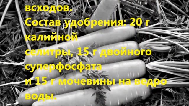 Морковь. Секреты удобрения и выращивания. смотреть онлайн
