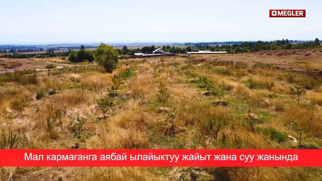 ШАШЫЛЫШ ТУРДО ЫССЫК-КОЛДОН КАШАР САТЫЛАТ смотреть онлайн