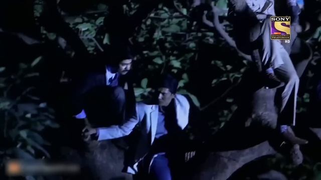 CID Entertainment | CID | जंगल के आतंकी Tiger से हुआ Team CID का सामना! смотреть онлайн