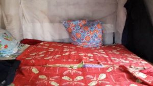 Отшельник на болотах