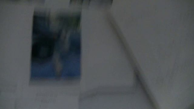 Доска объявлений о животных в августе 2021года. смотреть онлайн