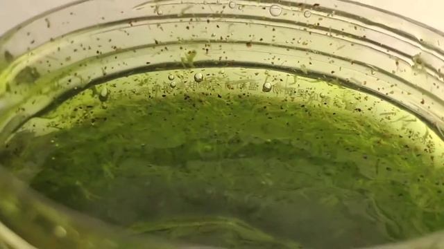 Скраб для тела с огурцом BIOAQUA Cucumber Hydrating Body Scrub смотреть онлайн