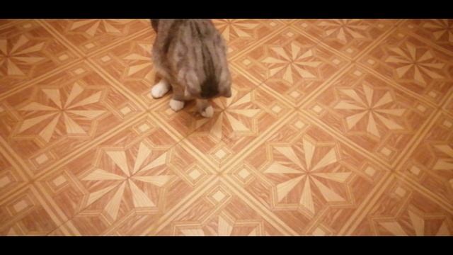 Тиша на свидании ? смотреть онлайн